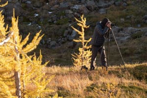 shows my friend dave taking photos of golden larch trees