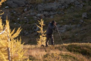 photo of Dave photographing a larch tree